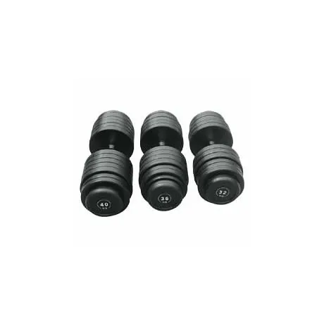 Гантельный ряд Body Solid FDS-09-2.5/50kg
